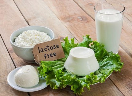 Bowl of cottage cheese, cheese, and a glass of milk beside a 'Lactose free' sign on lettuce.