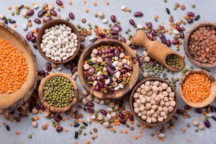 Various bowls of legumes and pulses illustrating natural plant-based food raw materials and protein ingredients.
