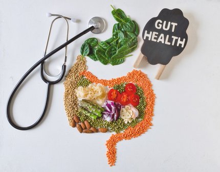 Vegetables and grains arranged as a human digestive system to illustrate gut health food trends.